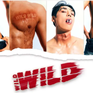Séoul fait monter la température, Wild Wild aux Folies Bergère.