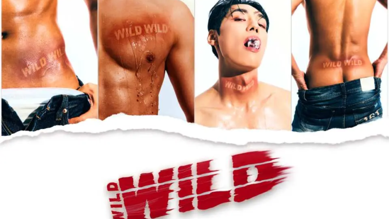Séoul fait monter la température, Wild Wild aux Folies Bergère.