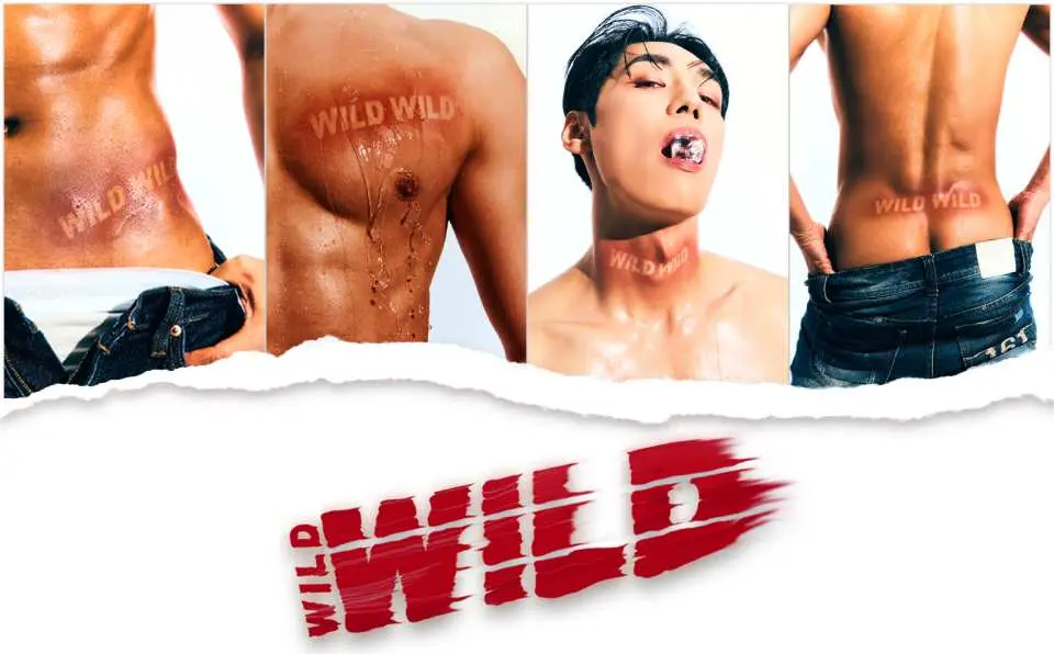 Séoul fait monter la température, Wild Wild aux Folies Bergère.